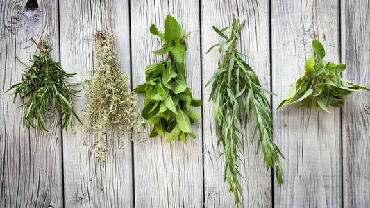 🎁 Herb Mystery Box (6 x 9cm Pots) (100% off)