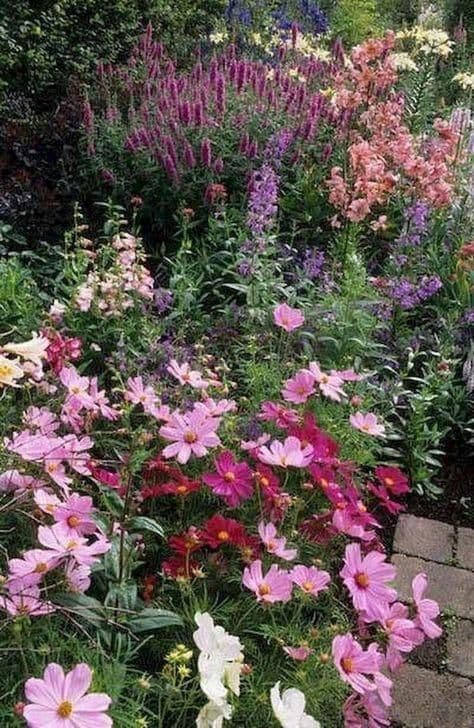 The Pink Box 6 x 9cm Pots
